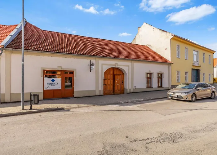 Rustic Vineyard House Modra