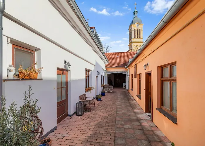 Rustic Vineyard House * モドラ